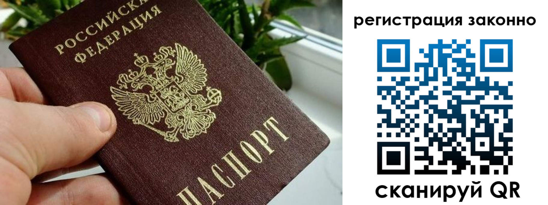 прописка гарантия в Коле