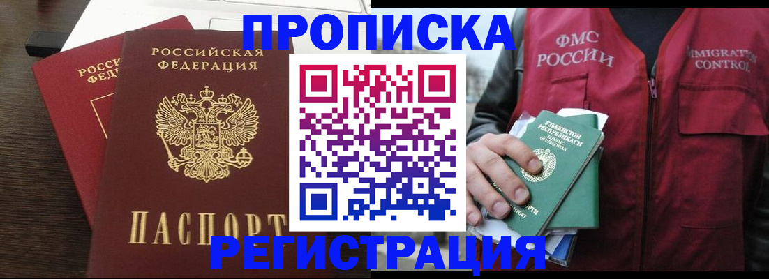 прописка законно в Коле
